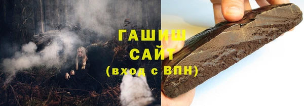 СК Алексин