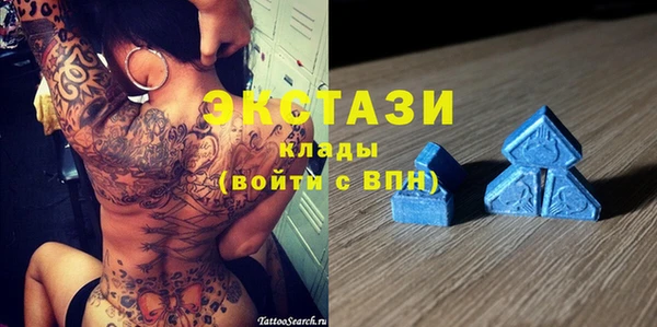 СК Алексин