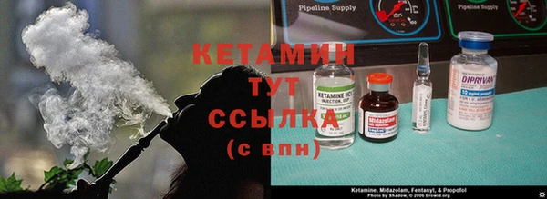 СК Алексин