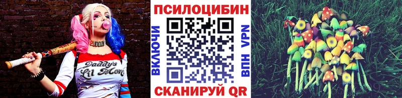 хочу   Буй  Галлюциногенные грибы GOLDEN TEACHER 